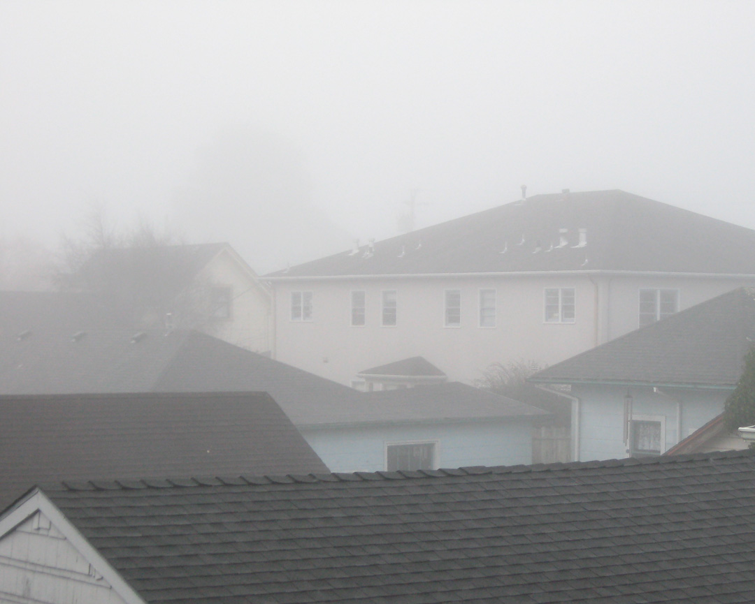 [MUFFINS+AND+FOG+017+small.jpg]