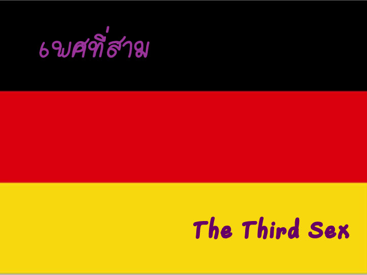 [GERMAN FLAG+copy.jpg]