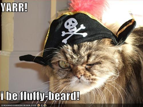 [Piratecat.jpg]