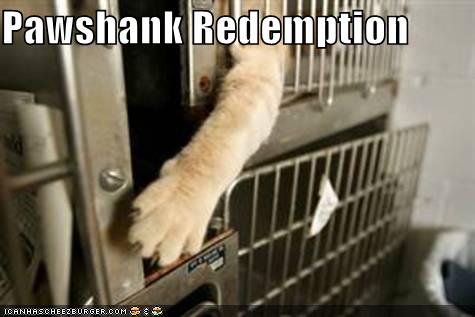 [funny-pictures-pawshank-redemption.jpg]