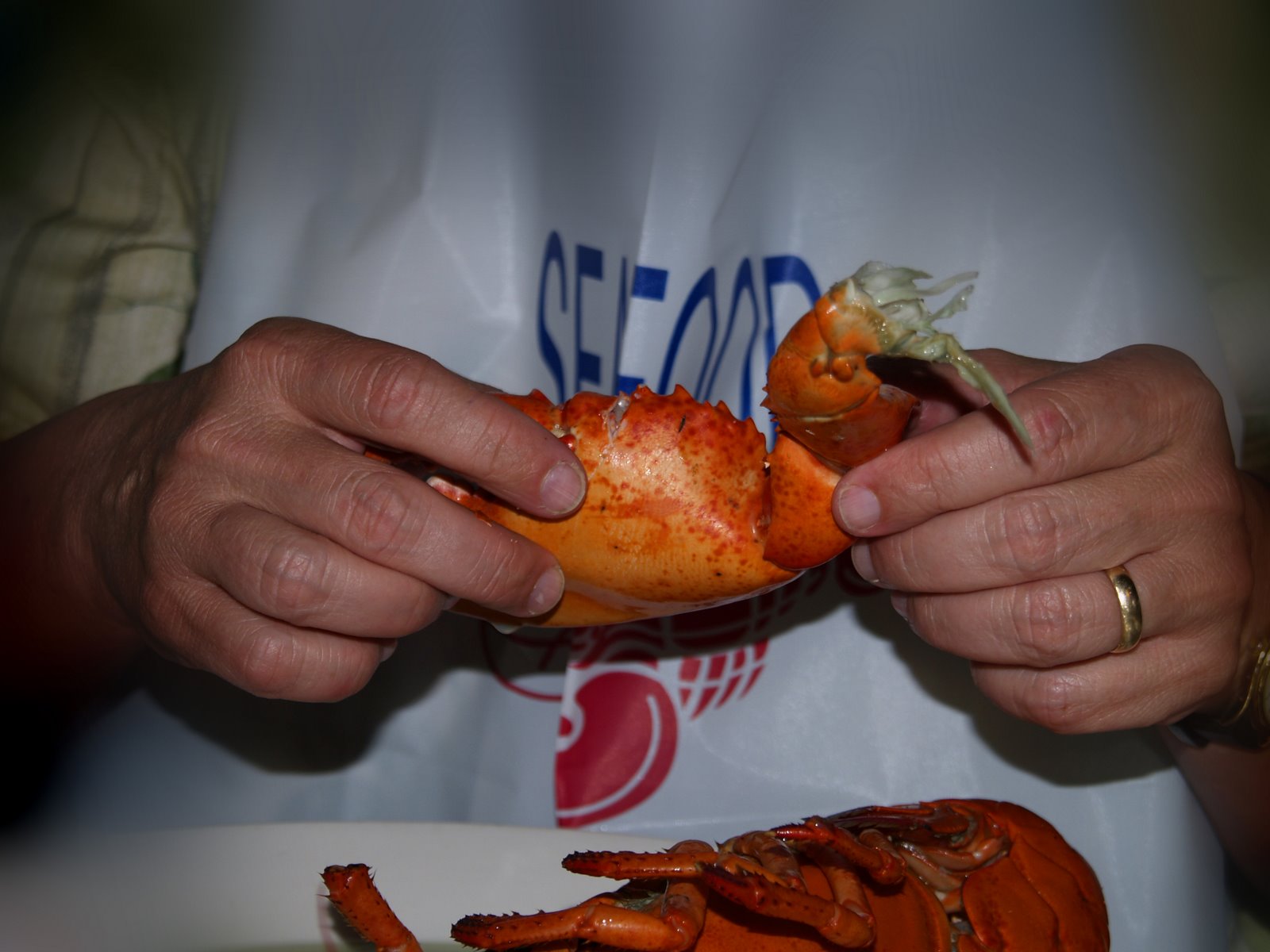 [lobster+1.jpg]