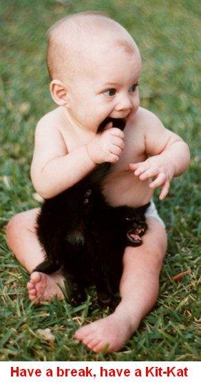 [baby+biting+cat's+tail.bmp]