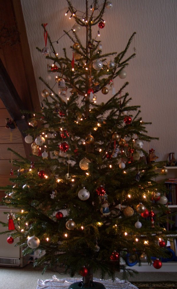 [Weihnachtsbaum+2006003+zugeschnitten+klein.jpg]