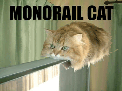 [monorail_cat_.gif]
