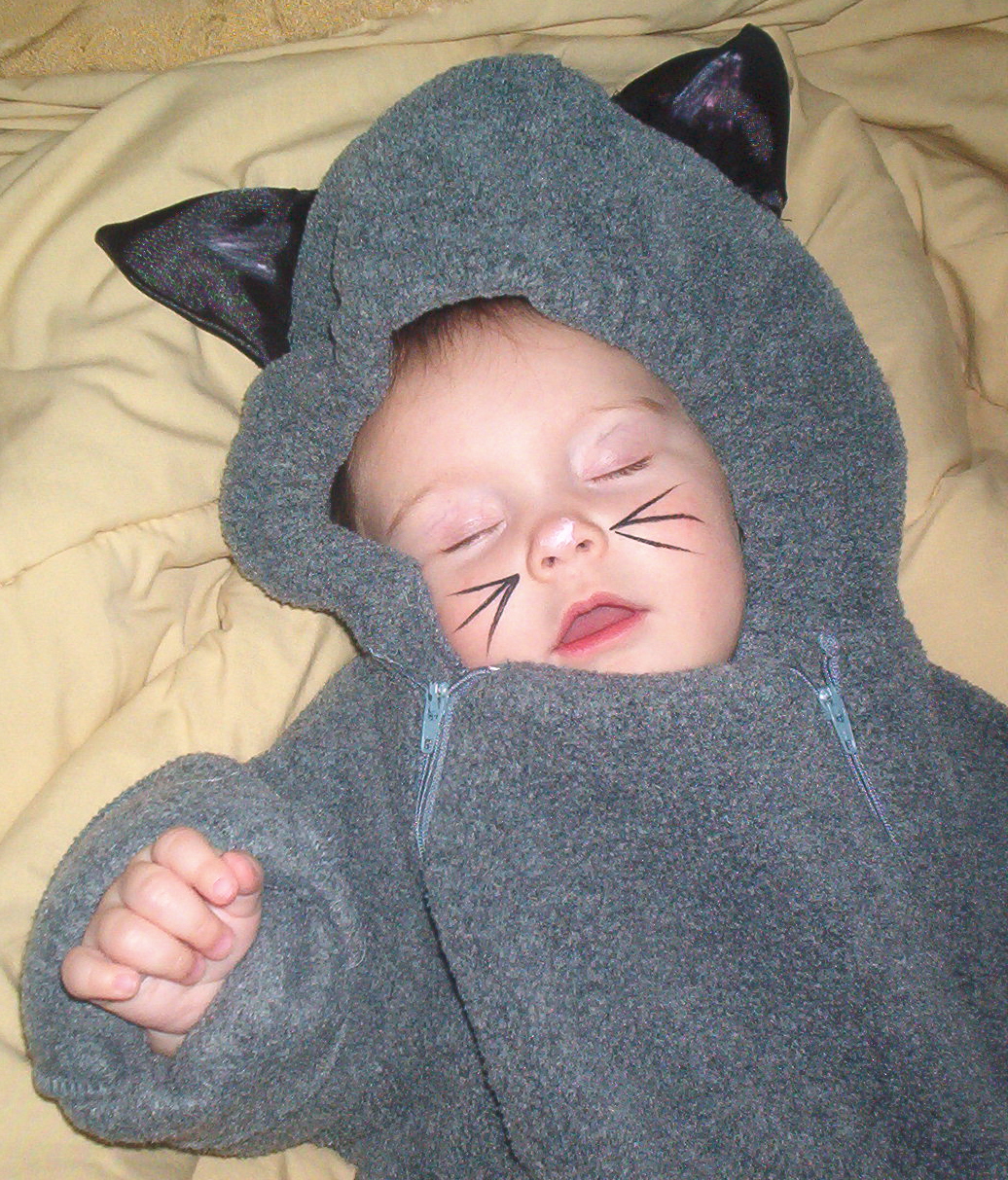 [a+sleepy+kitty.jpg]