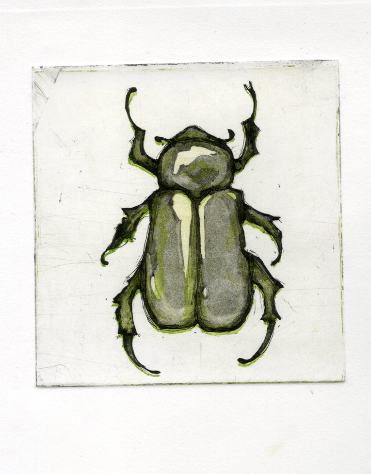 [beetle3.jpg]