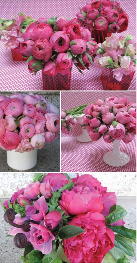 [rosenow_floral_pink.jpg]