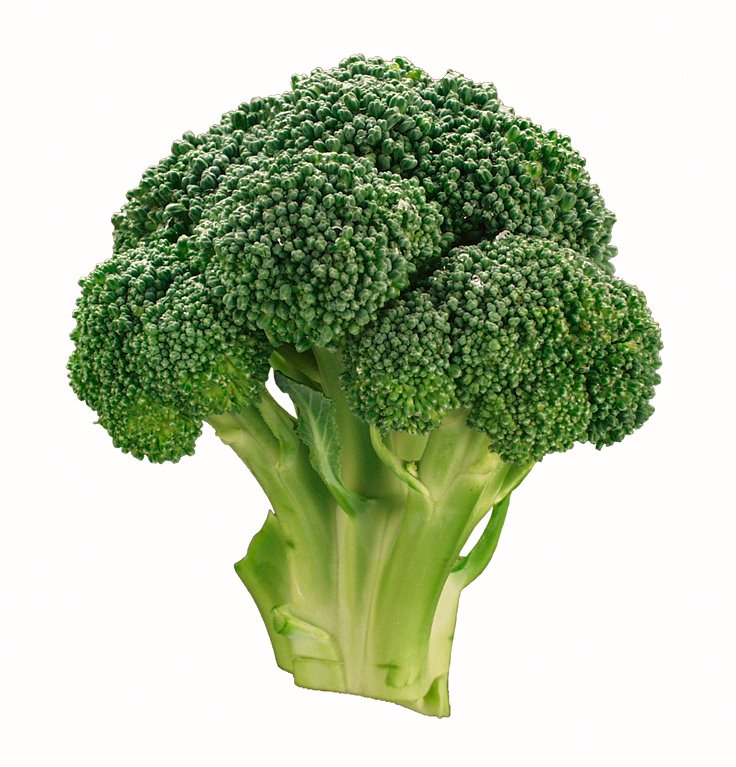 [26436919_Broccoli.jpg]