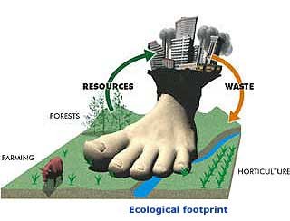 [eco_footprint.jpeg]