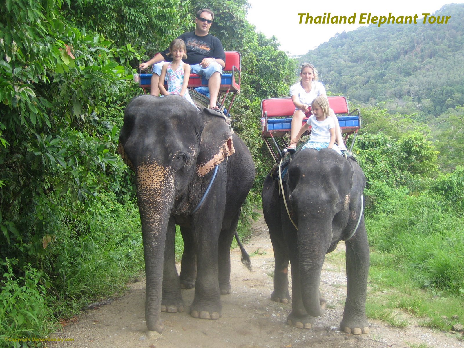 [thai_elephant_tour2.jpg]