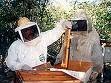 [apicultores.jpg]