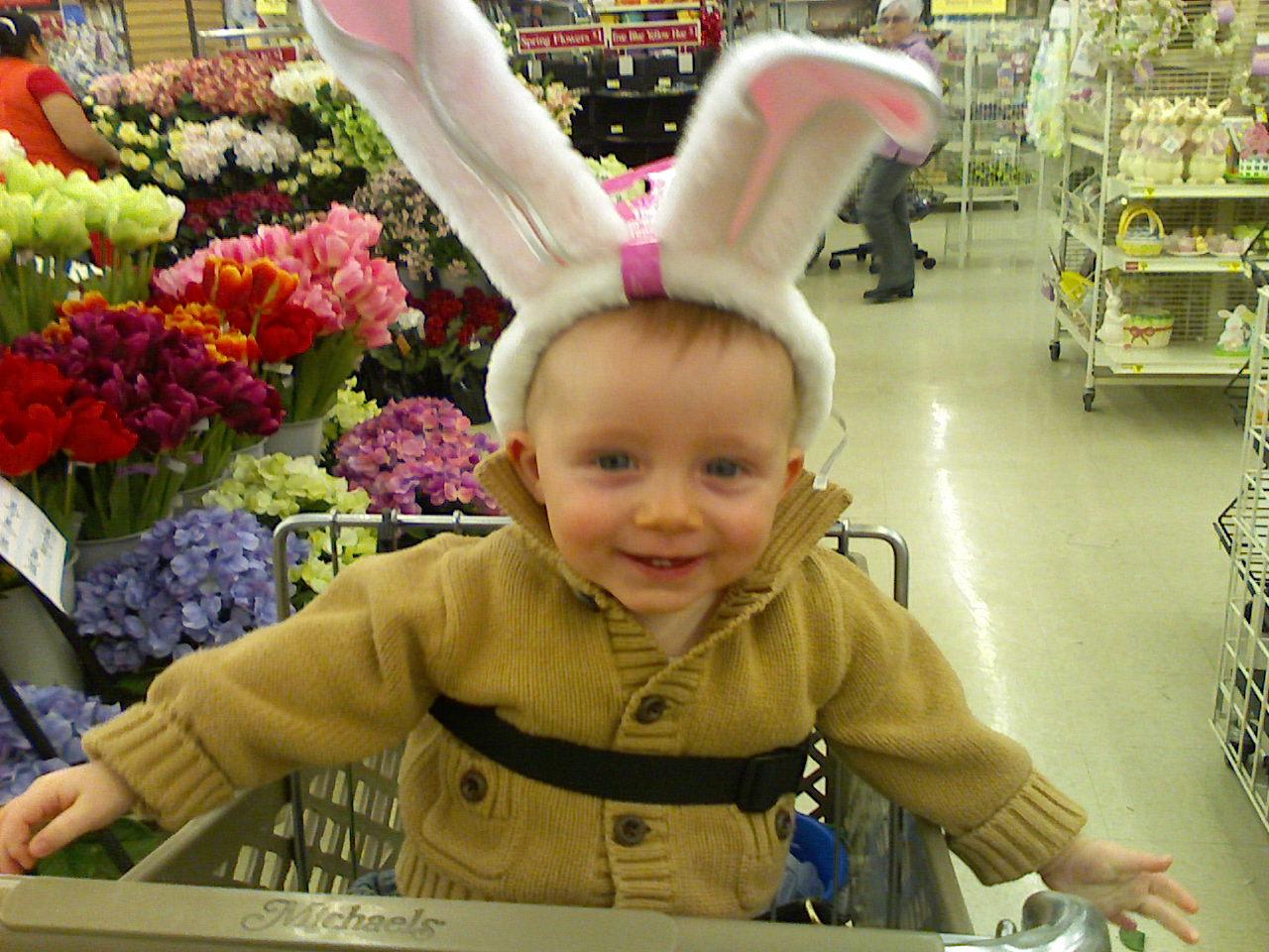 [baby+bunny.jpg]