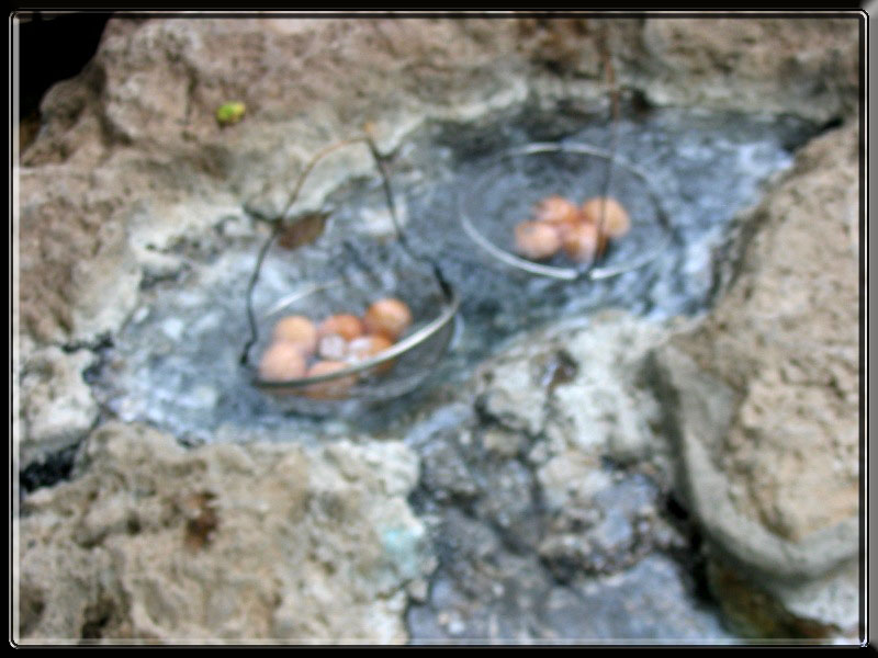 Egg-boiling in the natural hot spring source of bubbling water with temperature of 100-102ºC