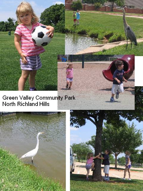 [green+valley+collage.jpg]
