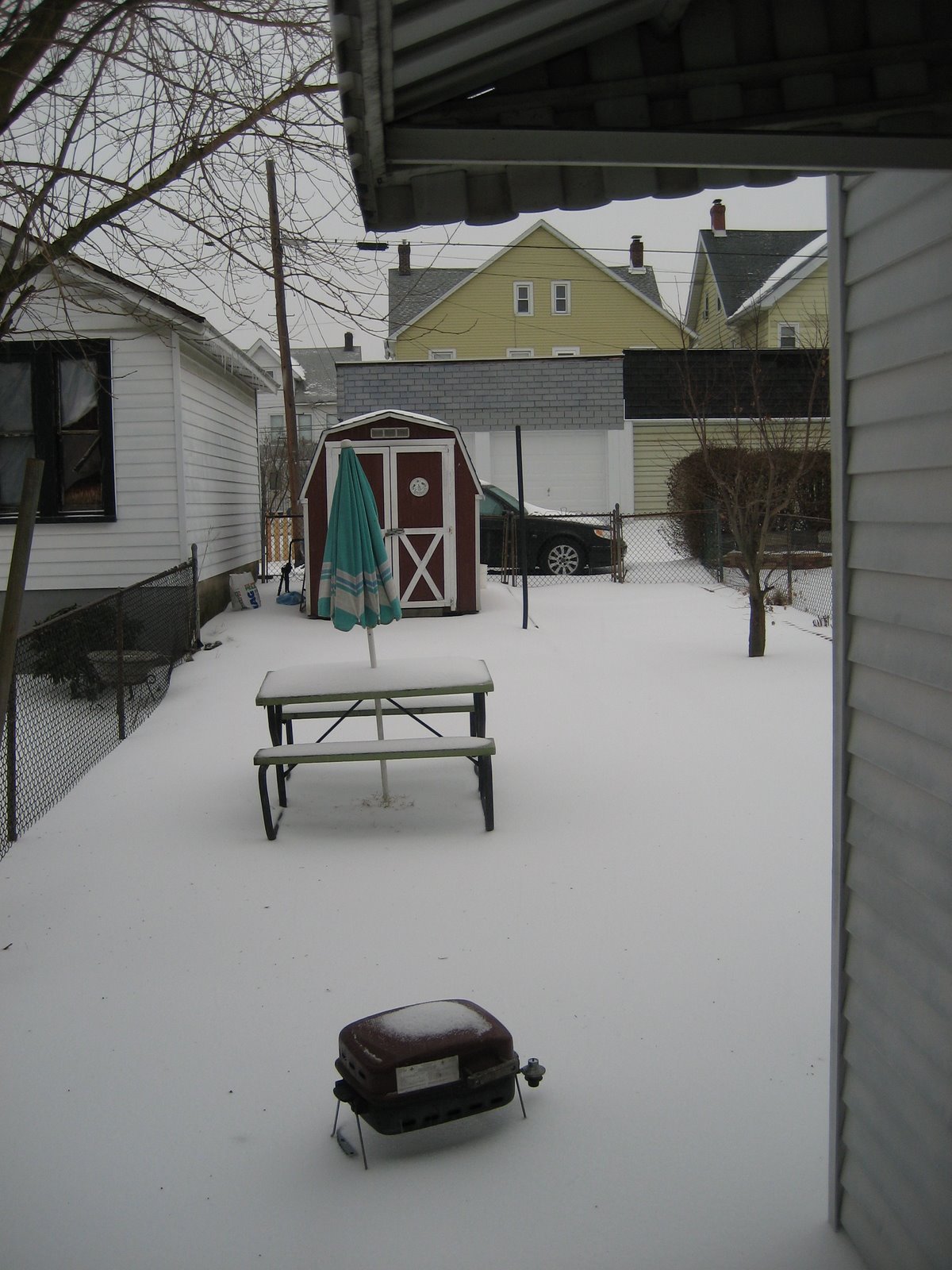 [Snowy+backyard.jpg]