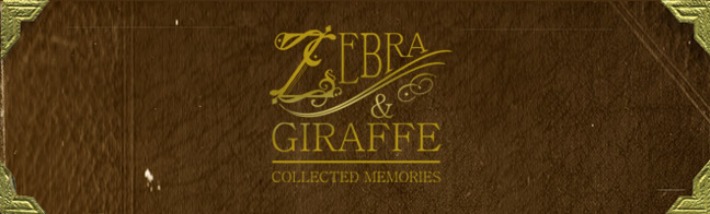 Zebra & Giraffe - Collected Memories
