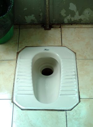 [squat-toilet.jpg]