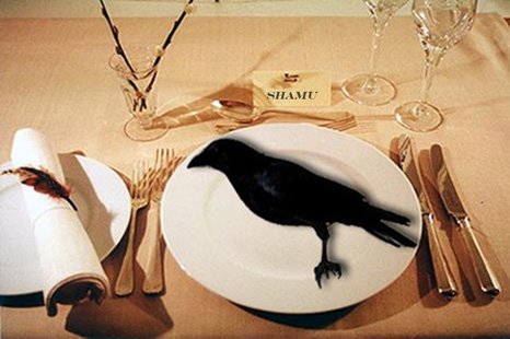 [shamu+eats+crow.jpg]