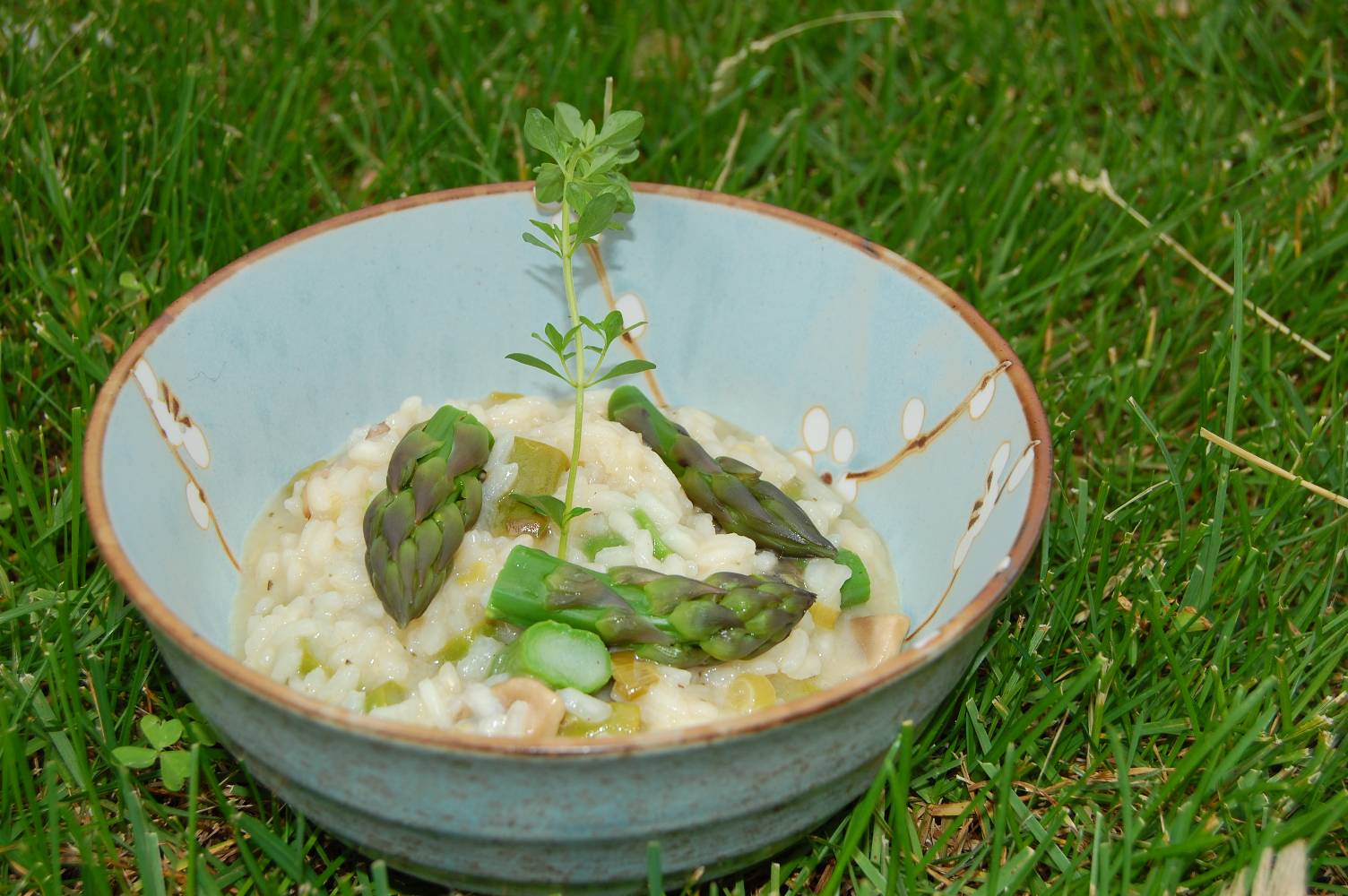 [Risotto+herbes+asperges+champignons.jpg]