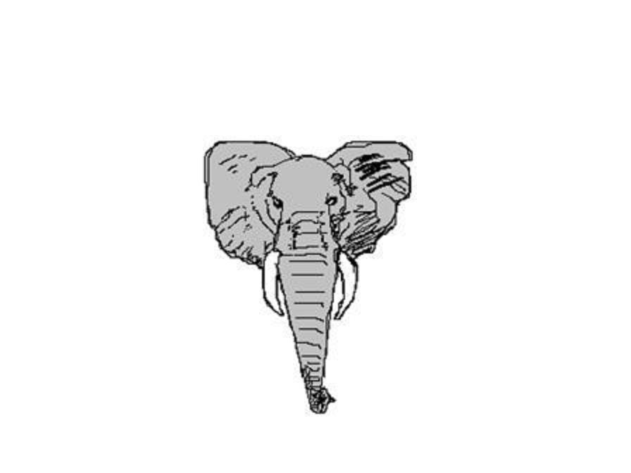 [elephantpicture1.JPG]