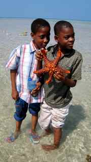 [boys+and+starfish.jpg]