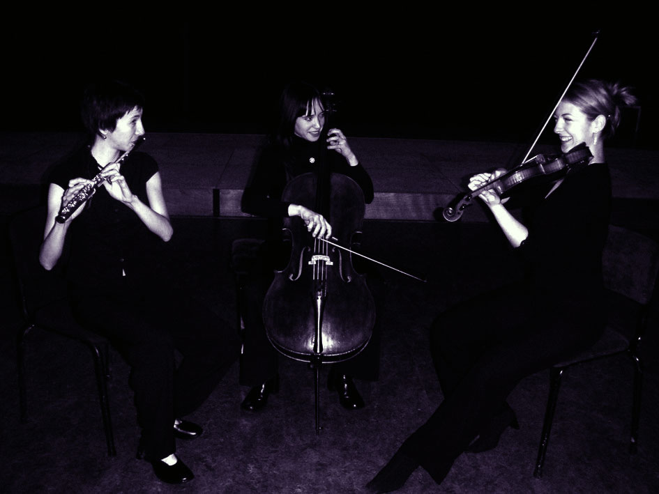 [Artemis+trio.JPG]