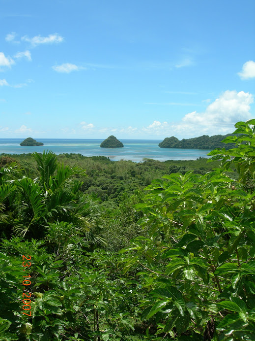 Palau, the day trip