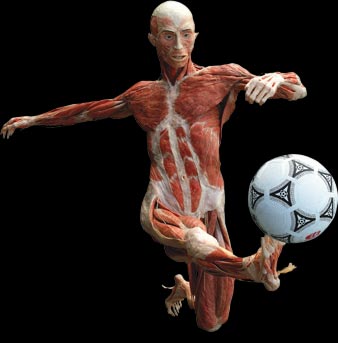 [soccer_player_pic.jpg]
