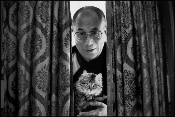 [Dalai&Kitten.jpg]