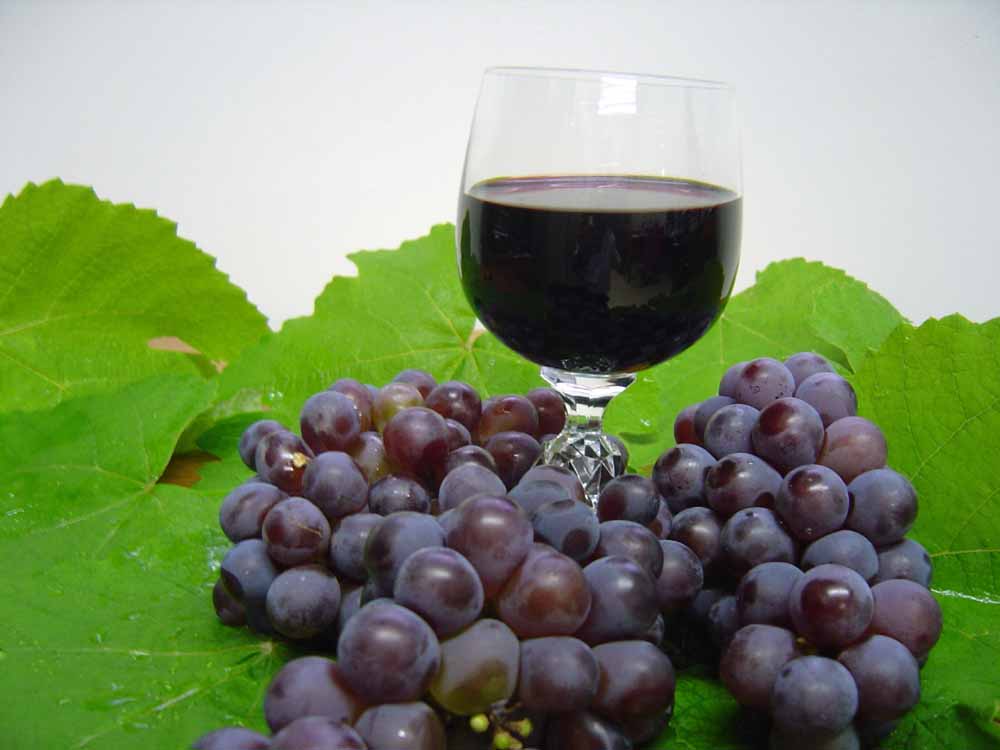 [uvas+e+vinho.jpg]