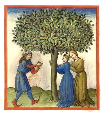 [abricot-recolte-tacuinum-sanitatis-codex-paris.jpg]