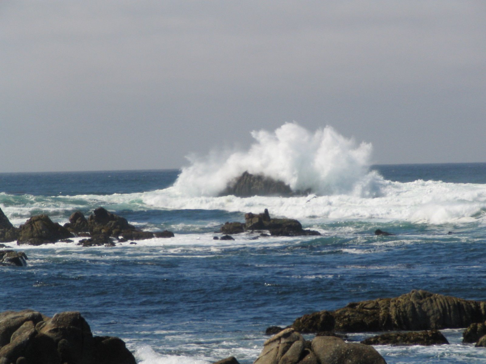 [Asilomar+rocks+and+surf.jpg]