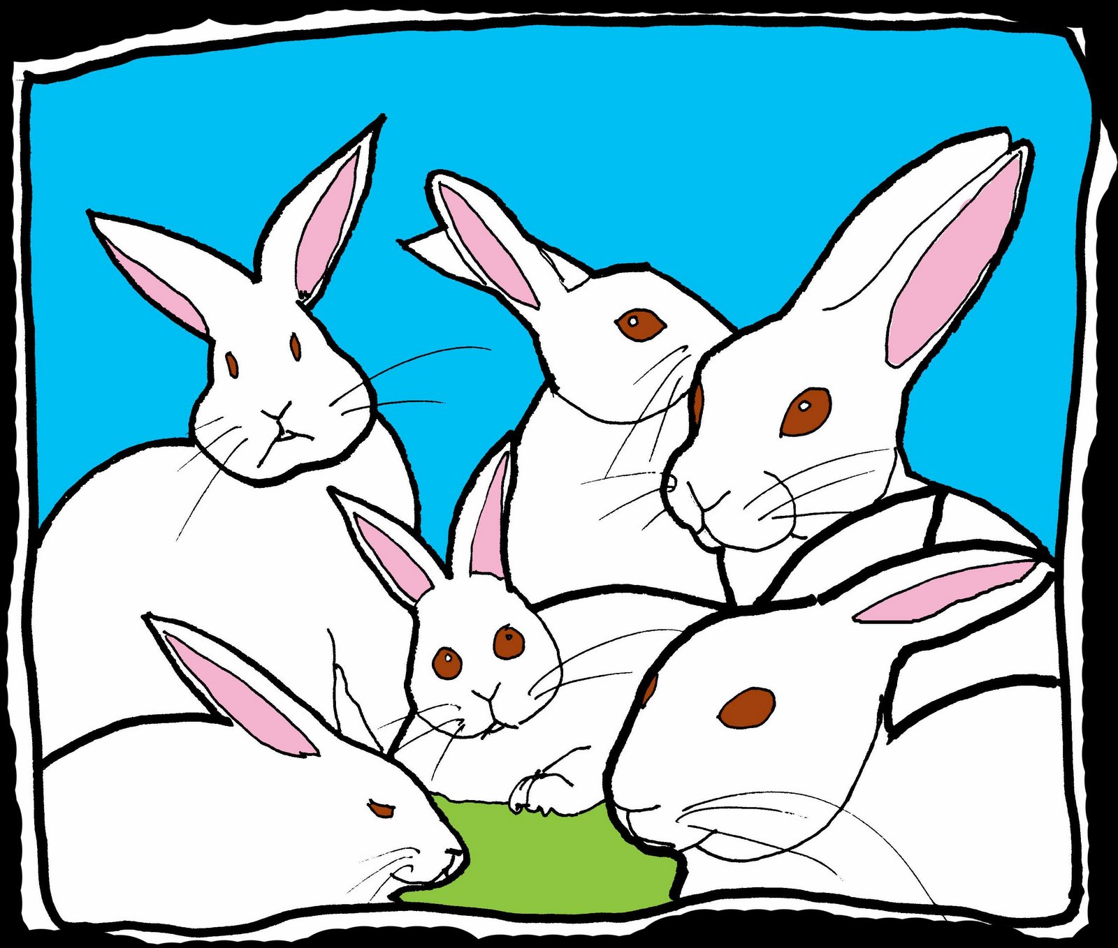 [White-Rabbits.jpg]