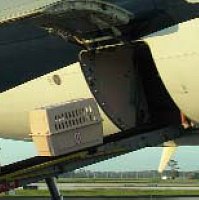 [cargo+airplane.jpg]