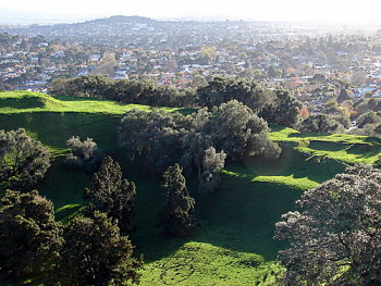 [view-tree-hill-crater.jpg]