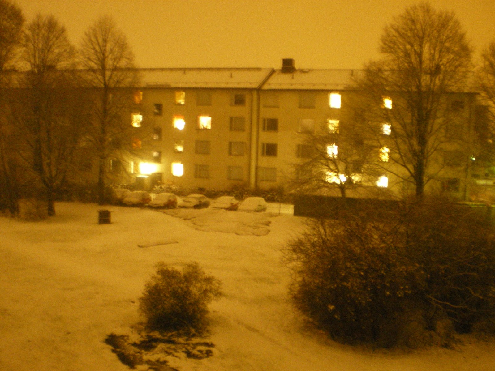 [Nieve+Uppsala.JPG]