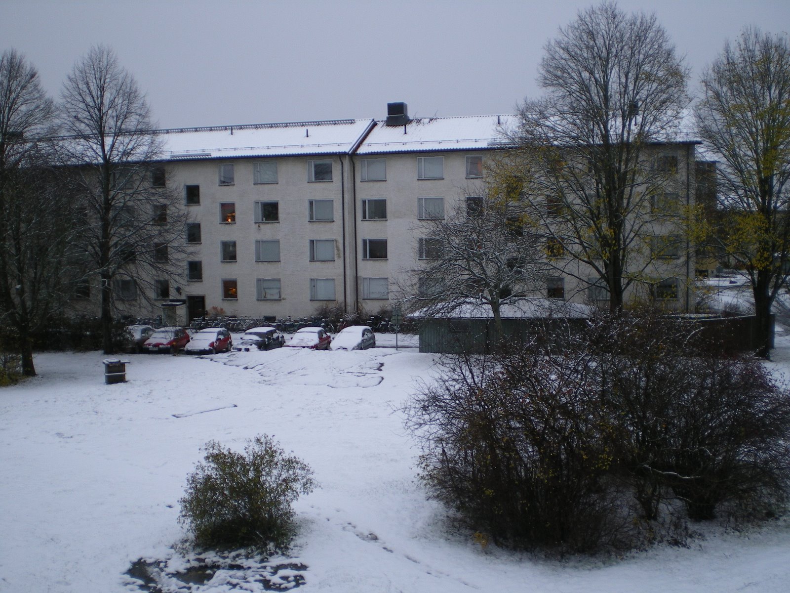 [Nieve+Uppsala+8:00.JPG]