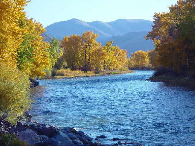 [Salmon+River.jpg]