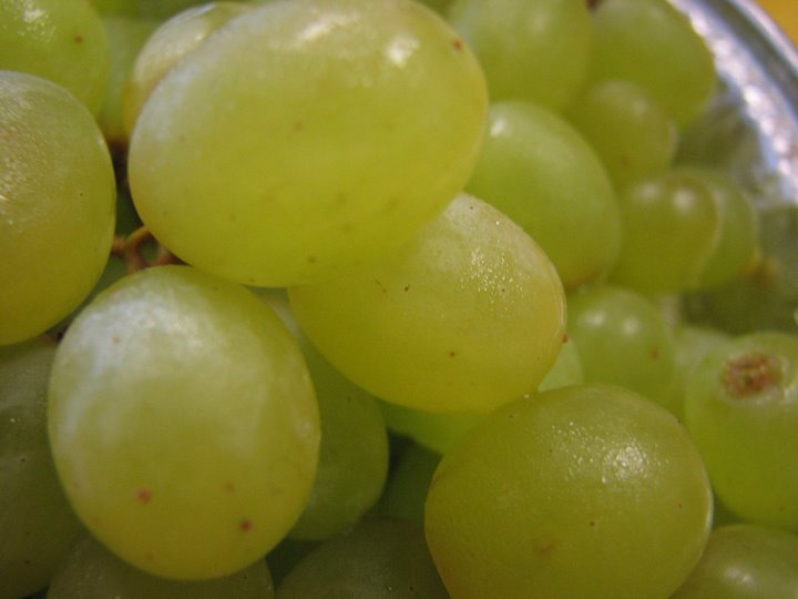 [grapes.jpg]