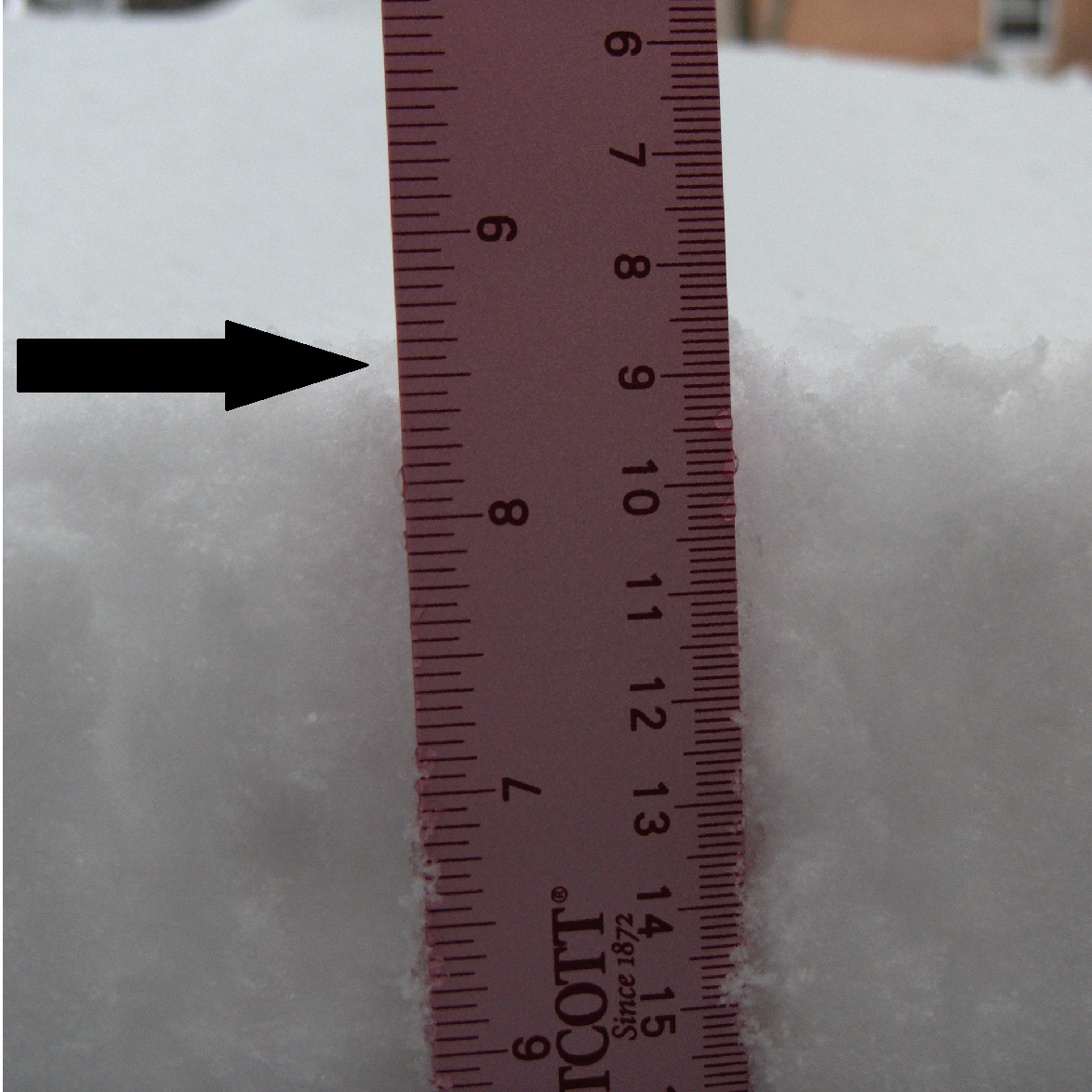 [snow+and+ruler+copy.jpg]