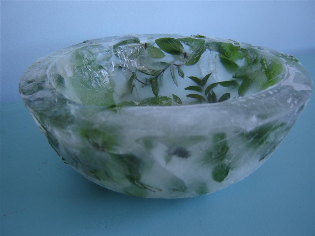 [ice+bowl+005+(Large).jpg]