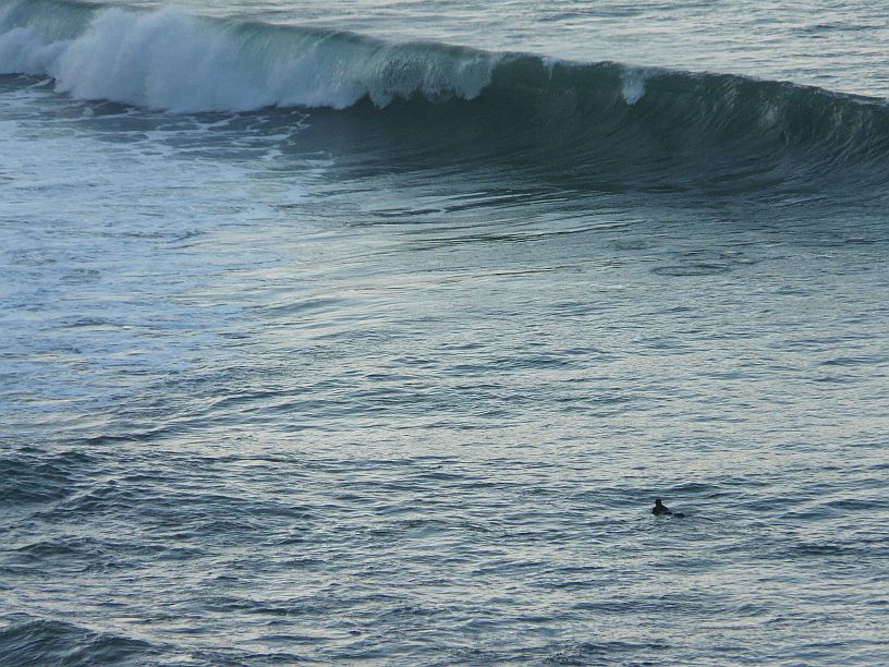 sesión de surf del 28 de enero del 2008