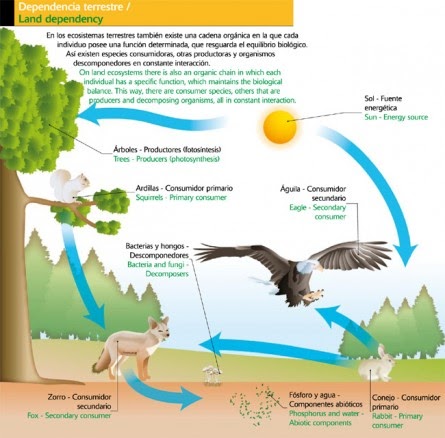 Gestión Ambiental: Ecosistemas