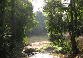 Jungle scene at Ton Sai Waterfall