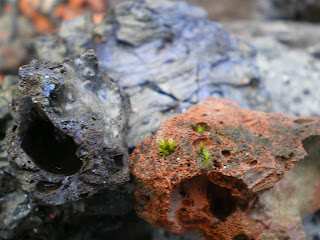 Closeup of different kinds of hardened lava - very colourful