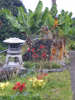 Oriental garden in Holualoa