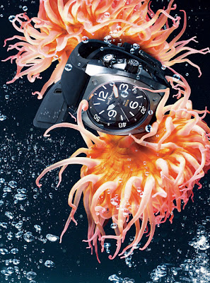 Sea The Best Diver Watch Photographs Ever...