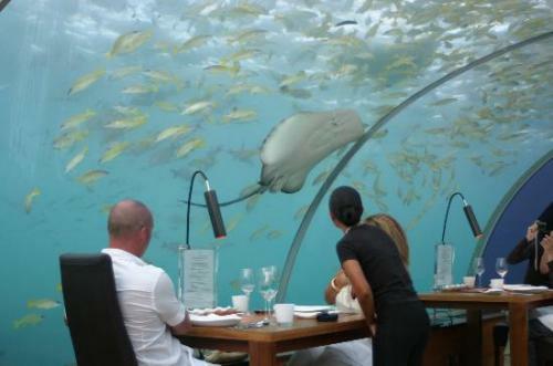 [Ithaa-Underwater-Restaurant-maldives-6.jpg]