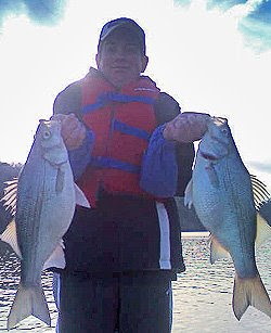 Sand bass at Lake Broken Bow with fishing guide Bryce Archey