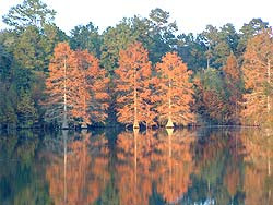 Lake Pine Creek Oklahoma